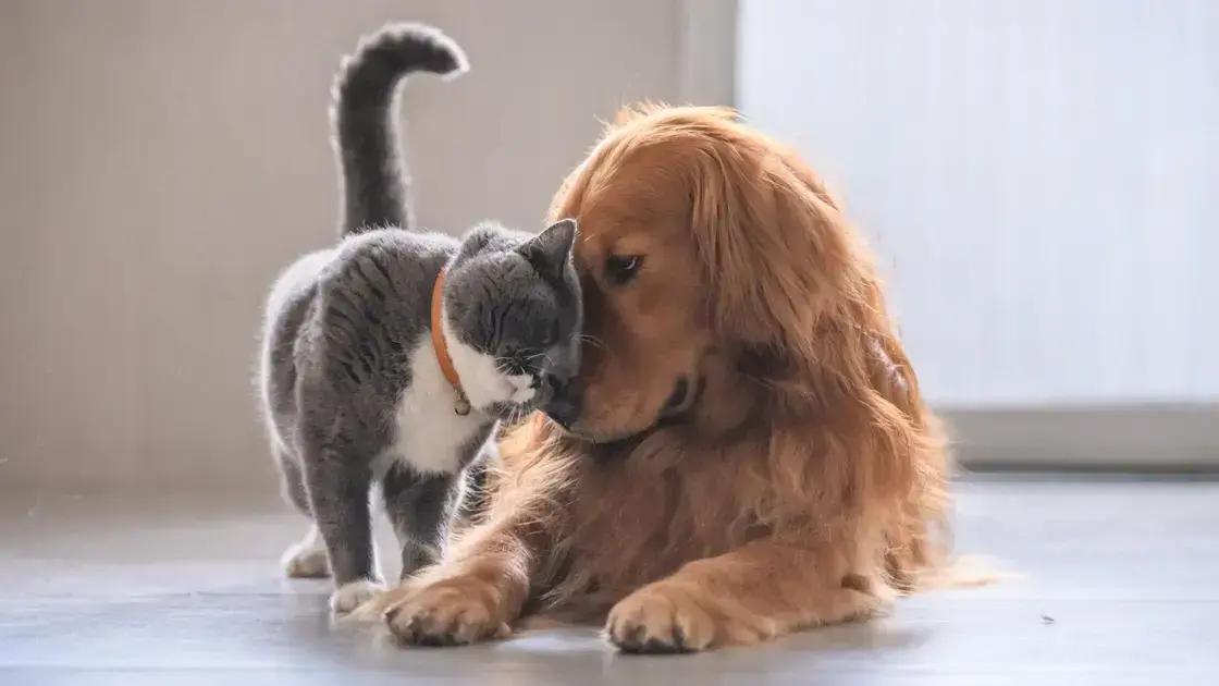 Benefícios para a saúde animal
