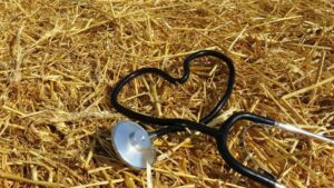 Educação de tutores: o papel da UBS Vet no cuidado diário do pet