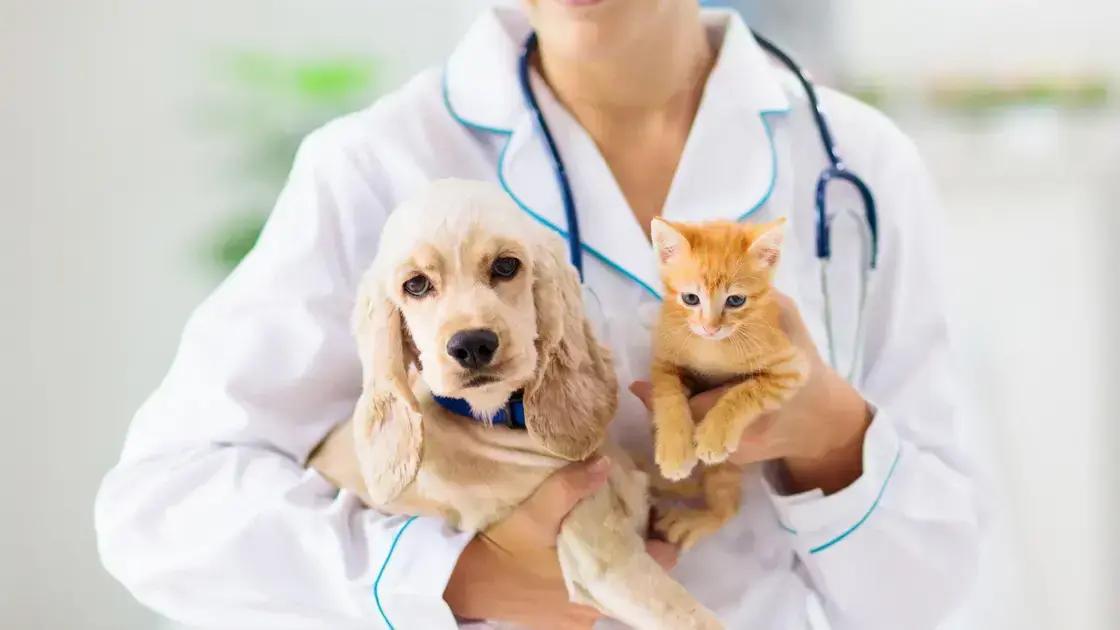 Orientação nutricional e saúde bucal dos pets