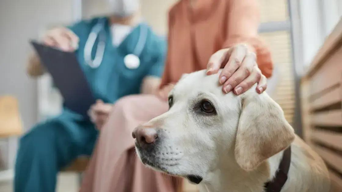Quais exames são realizados durante o check-up?