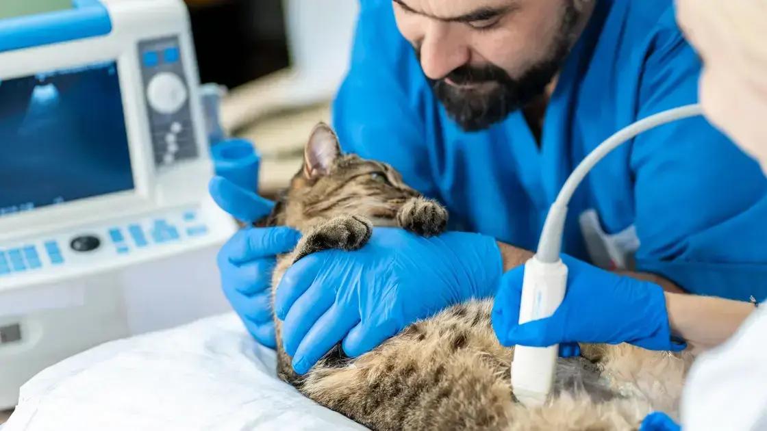 O que é a gripe canina e quais os principais vírus envolvidos?