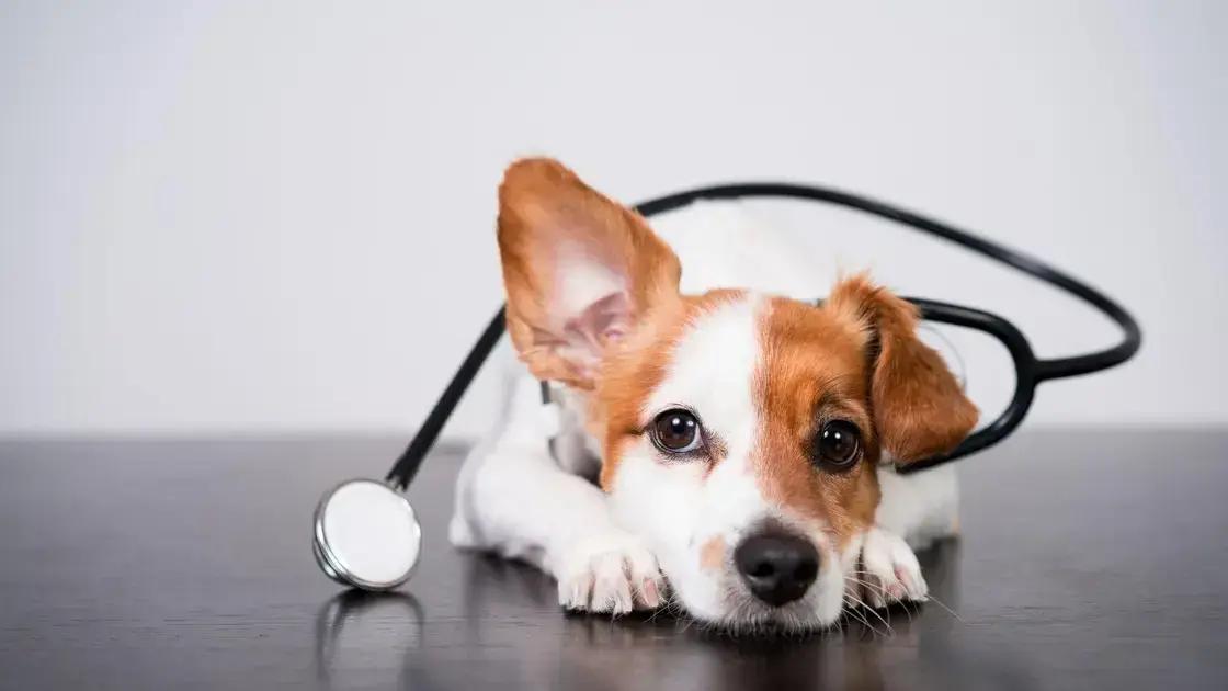 Necessidades nutricionais específicas de cães filhotes