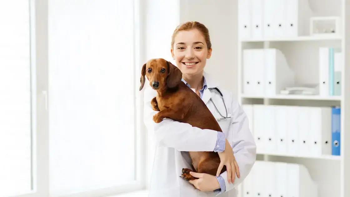 Sintomas que indicam otite em cães