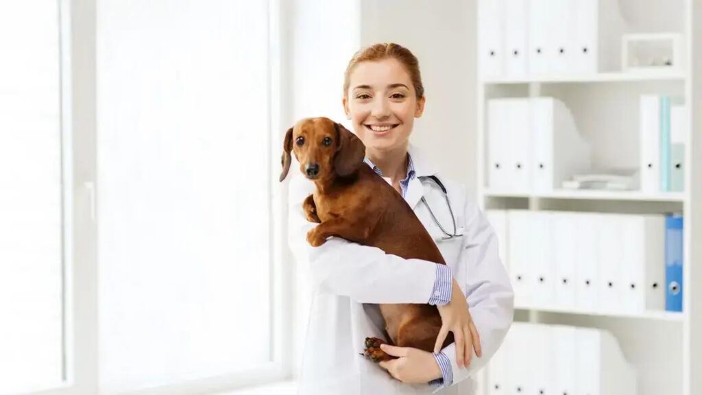 Verminoses em Cães: Como Prevenir e Tratar