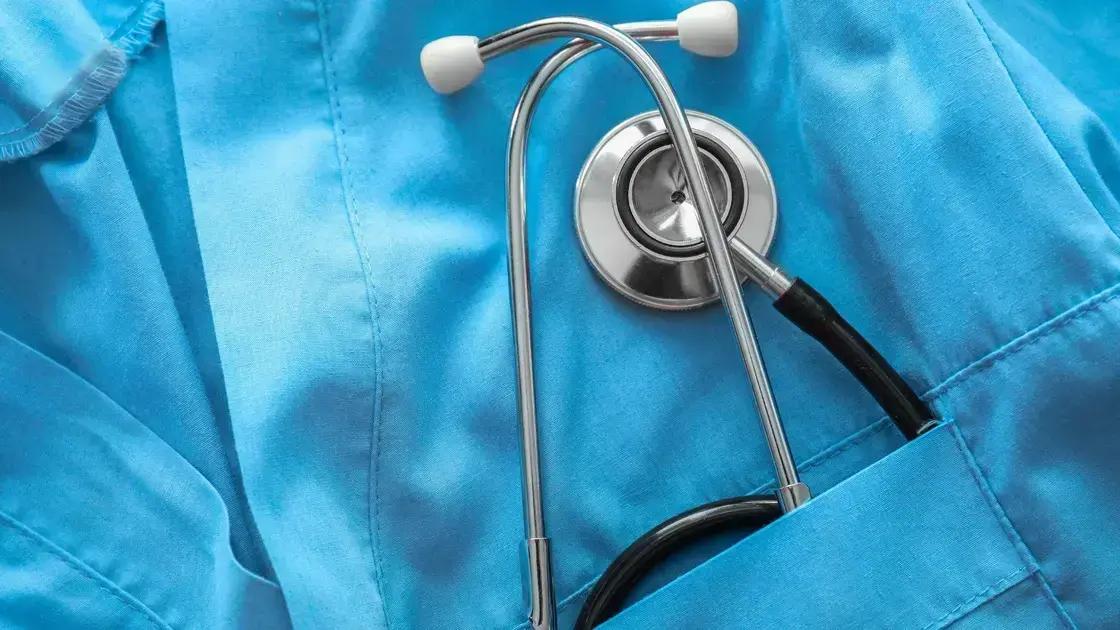 adaptações no destino para pets