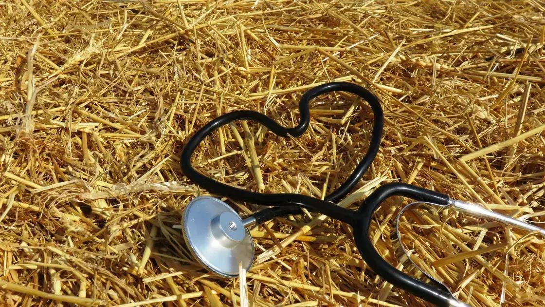 principais tipos de exames laboratoriais para pets